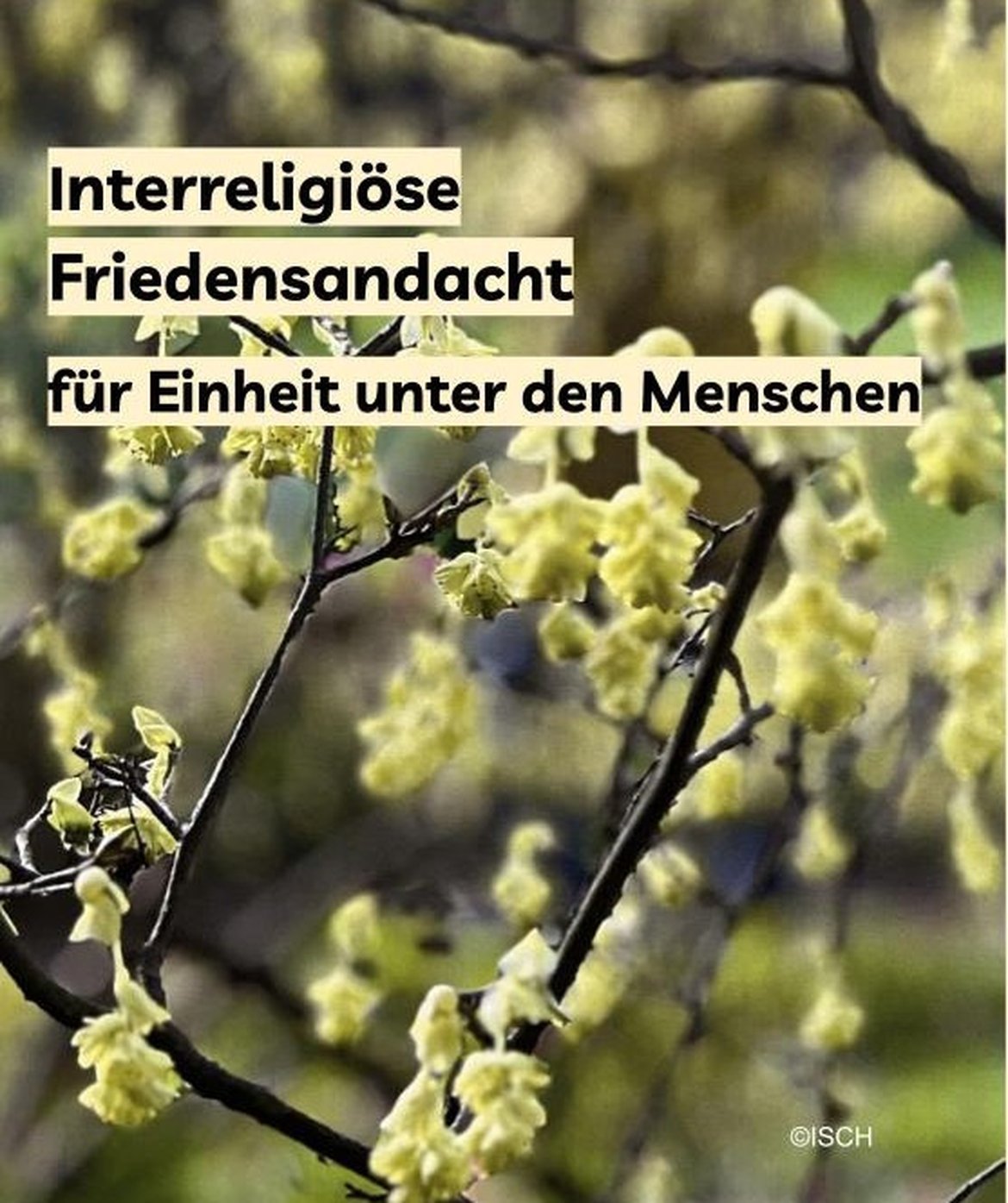 Interreligiöse Friedensandacht für Einheit unter den Menschen